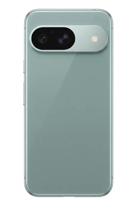 Back of the Google Pixel 9